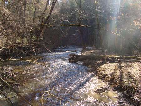 DSC02845_thumb.jpg - 32.30 KB