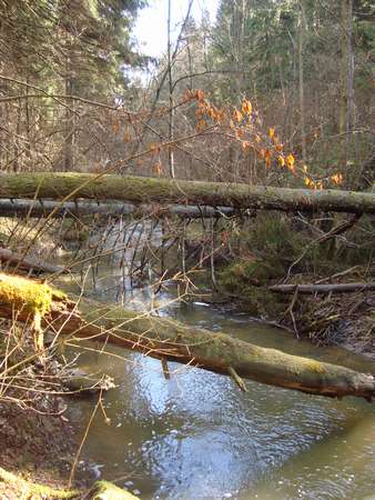 DSC02862_thumb.jpg - 34.25 KB