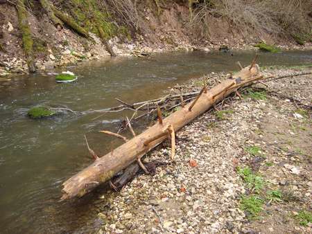 DSC02887_thumb.jpg - 34.58 KB