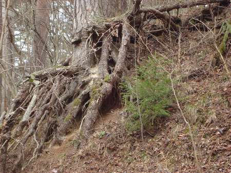 DSC02897_thumb.jpg - 36.68 KB