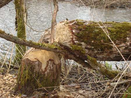 DSC02900_thumb.jpg - 36.38 KB