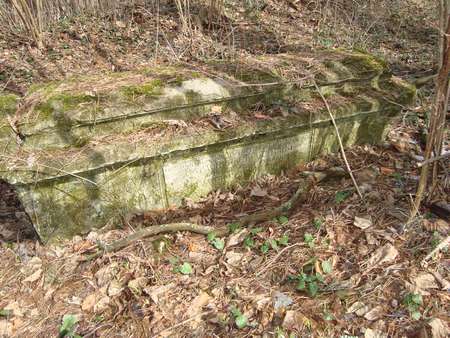 DSC02917_thumb.jpg - 40.65 KB