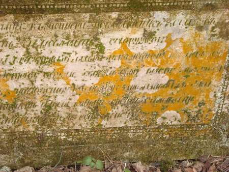 DSC02923_thumb.jpg - 33.84 KB