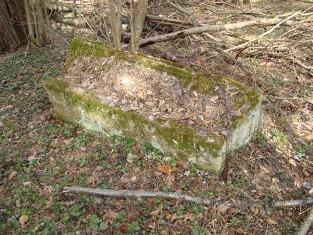 DSC02925_thumb.jpg - 38.98 KB