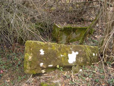 DSC02928_thumb.jpg - 39.35 KB