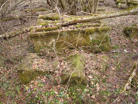 DSC02930_thumb.jpg - 42.28 KB